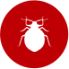 Bed Bug Control