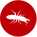 Termite Control
